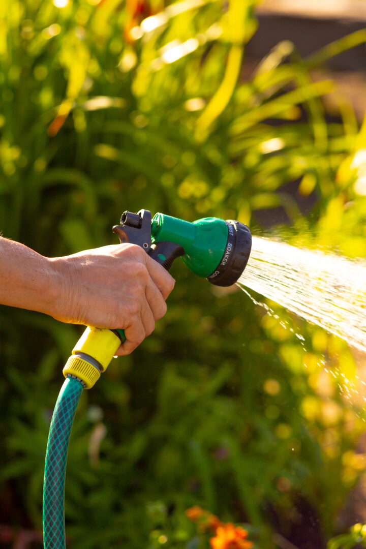 garden hose from Downham Home & Garden in use