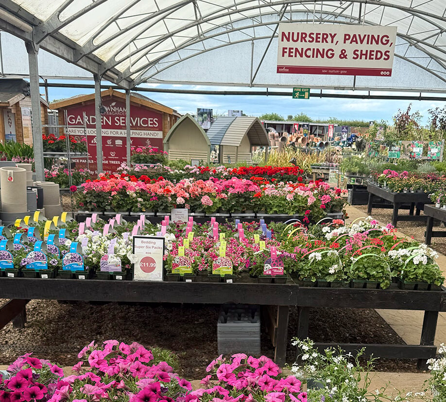 Colourful display of bedding plants and flowers inside the nursery area at Downham Home & Garden, with signage for paving, fencing, and sheds.