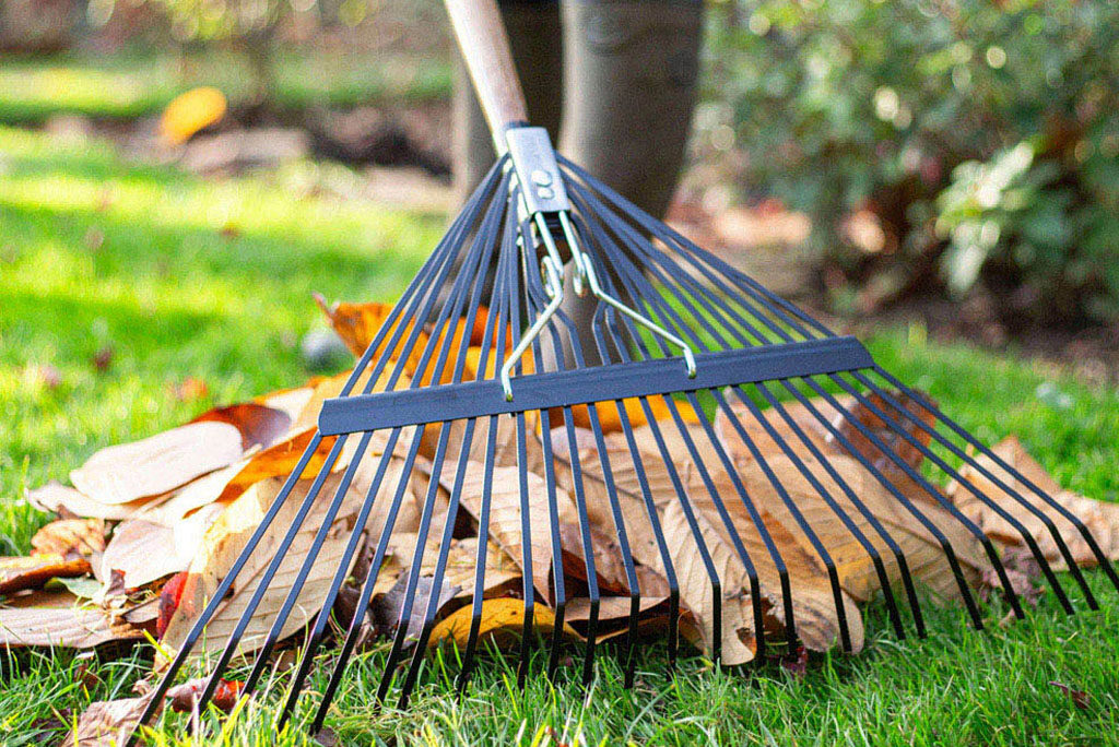 Person using a metal garden rake to gather fallen autumn leaves on green grass.